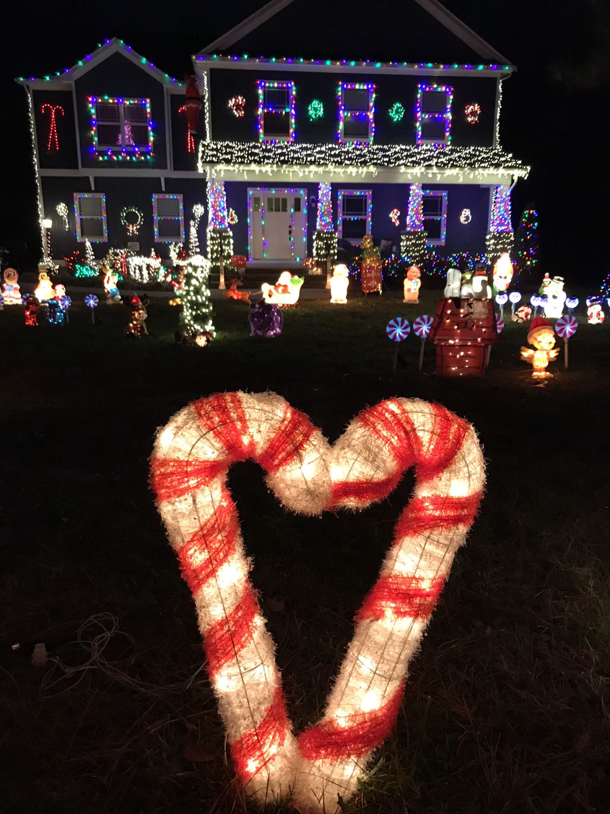 Powered Up Powhatan: 3393 Lake Pines Place